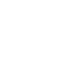 Logo Mad Institute