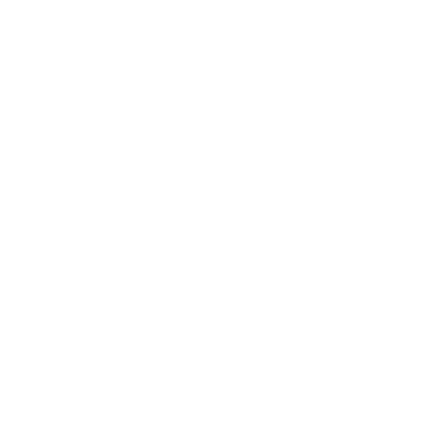 Logo Mad Institute