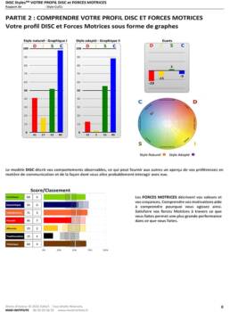 Page 3 d'un exemple de profil DISC & Forces Motrices