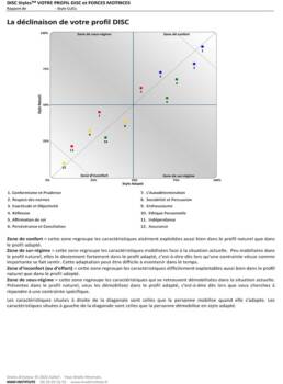 Page 4 d'un exemple de profil DISC & Forces Motrices